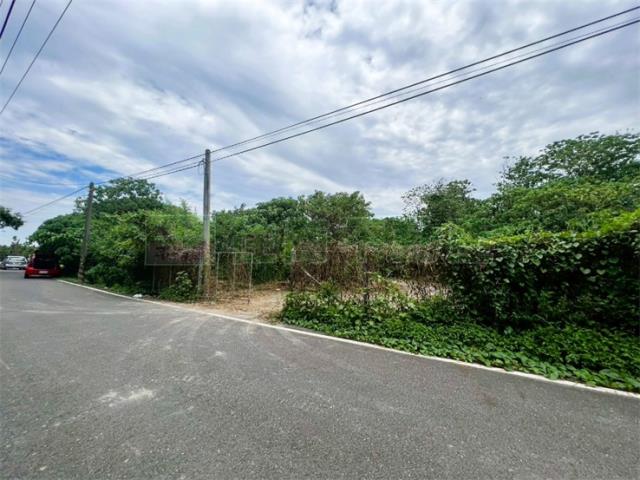竹田農地-2