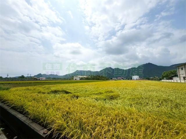 美濃農地-2