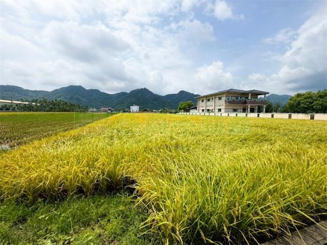 美濃農地-4