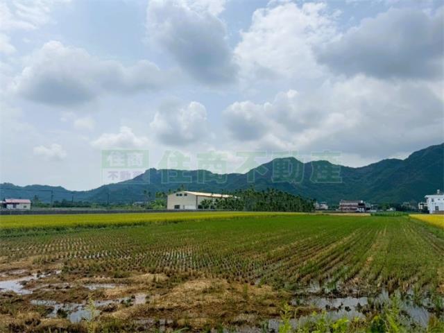 美濃農地-5
