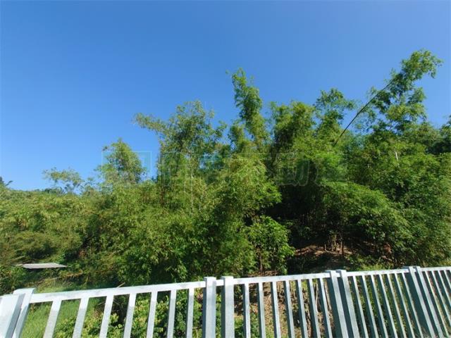 高雄仁武農地-12