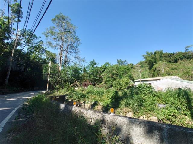 高雄仁武農地-3