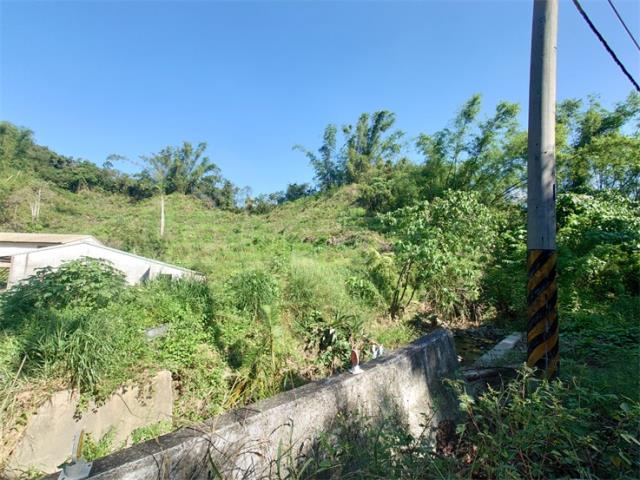 高雄仁武農地-4