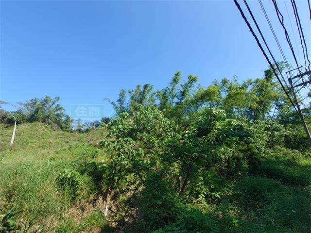 高雄仁武農地-6