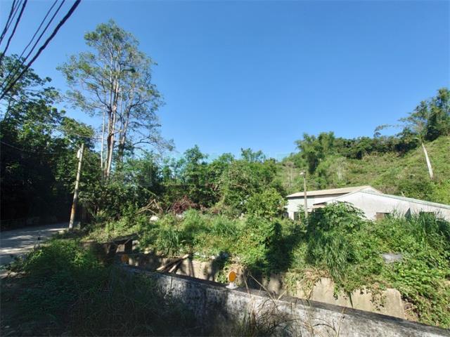 高雄仁武農地-8