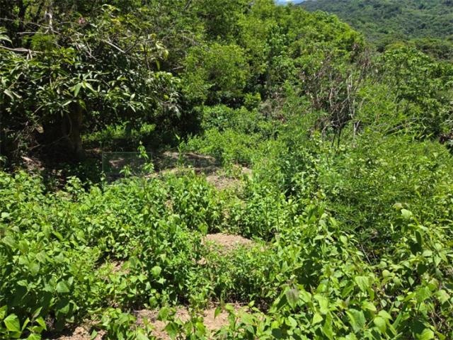 高雄杉林山坡地-11