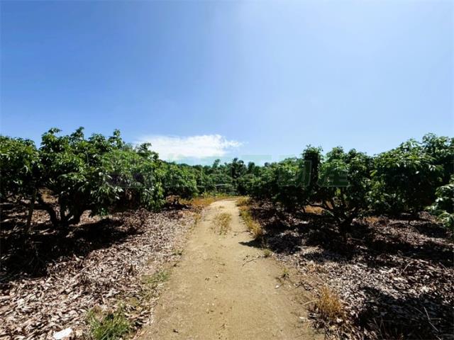 高雄大樹農地-0