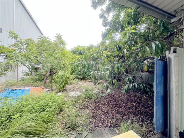 高雄大寮農地-8