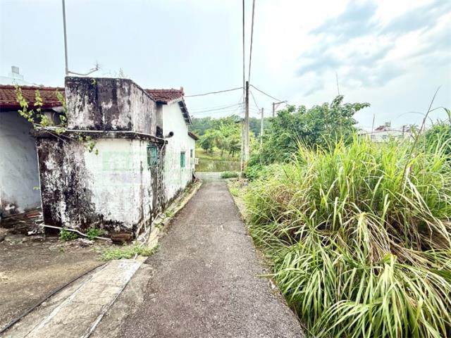 高雄杉林建地-10