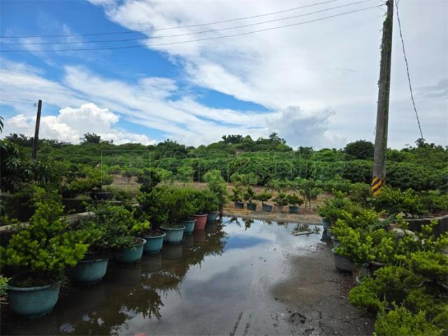 大樹農地-0