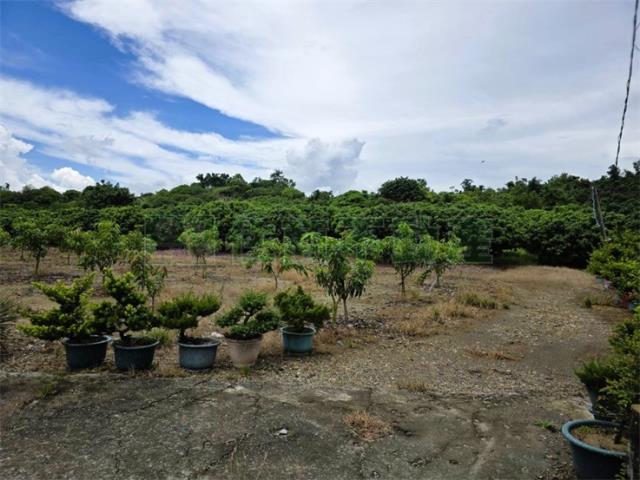 大樹農地-7