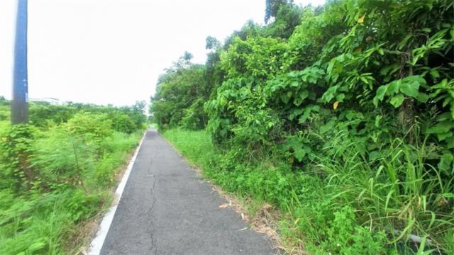 高雄阿蓮農地-2