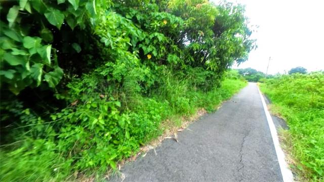 高雄阿蓮農地-3