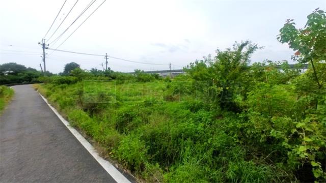 高雄阿蓮農地-4