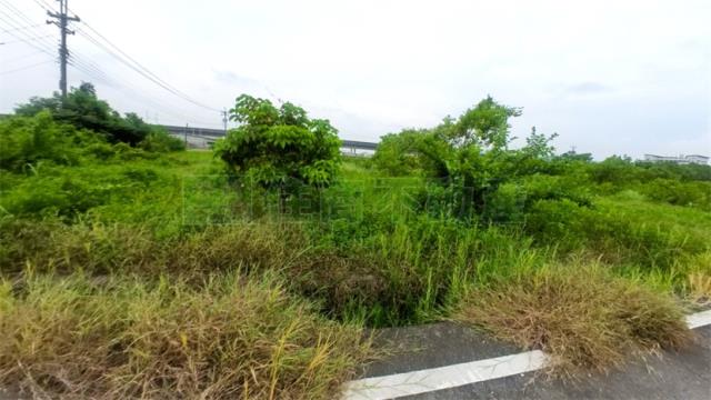 高雄阿蓮農地-5