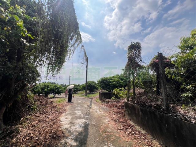 大樹農地-7